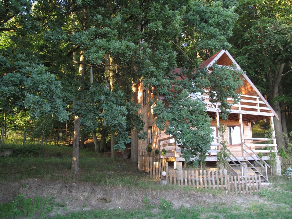 Osrodek Wczasowy Zloty Dab - Domki Hotel Miedzyzdroje Kültér fotó